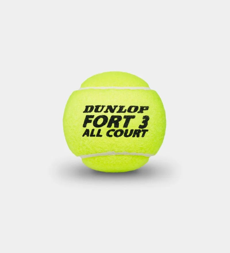 Dunlop Fort All Court TS 3b can