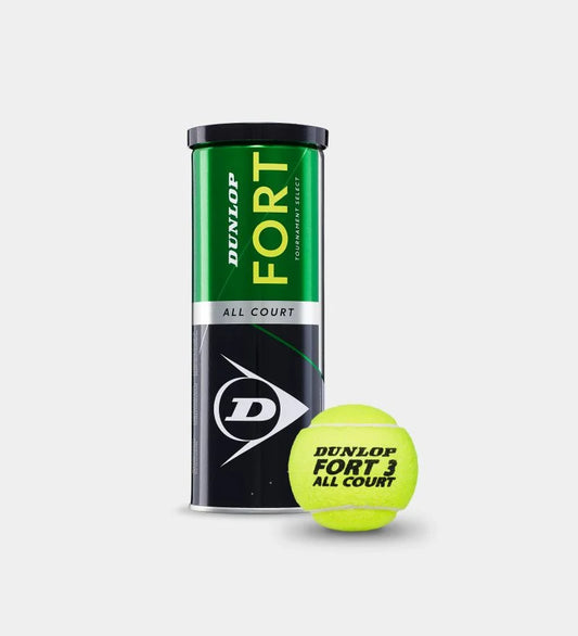 Dunlop Fort All Court TS 3b can