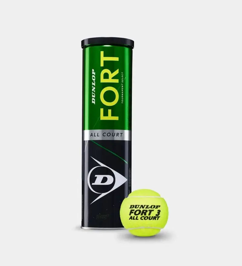 Dunlop Fort All Court TS 3b can