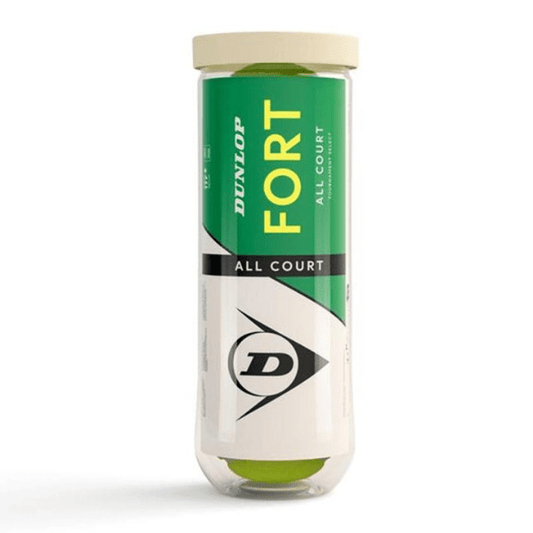 Dunlop Fort All Court TS 3b can